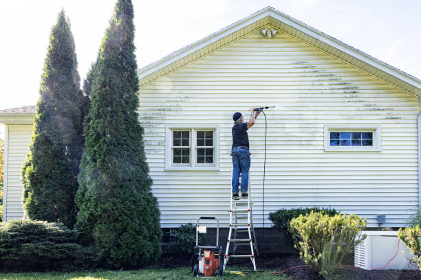 Best Local Pressure Washing Services  in Clayton, AL